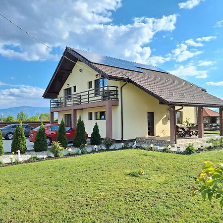 Pensiunea Daria Hateg Exterior photo