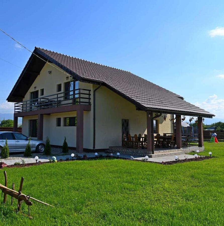 Pensiunea Daria Hateg Exterior photo