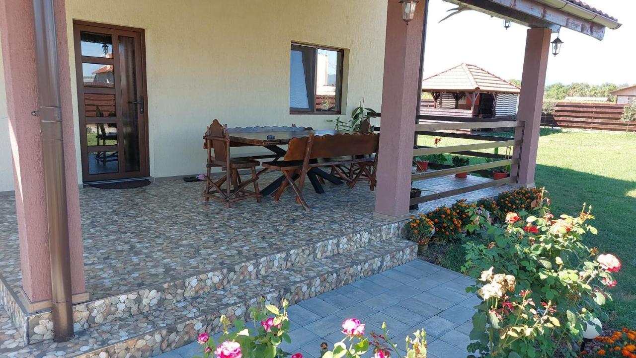 Pensiunea Daria Hateg Exterior photo