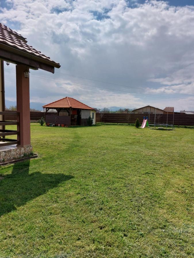 Pensiunea Daria Hateg Exterior photo