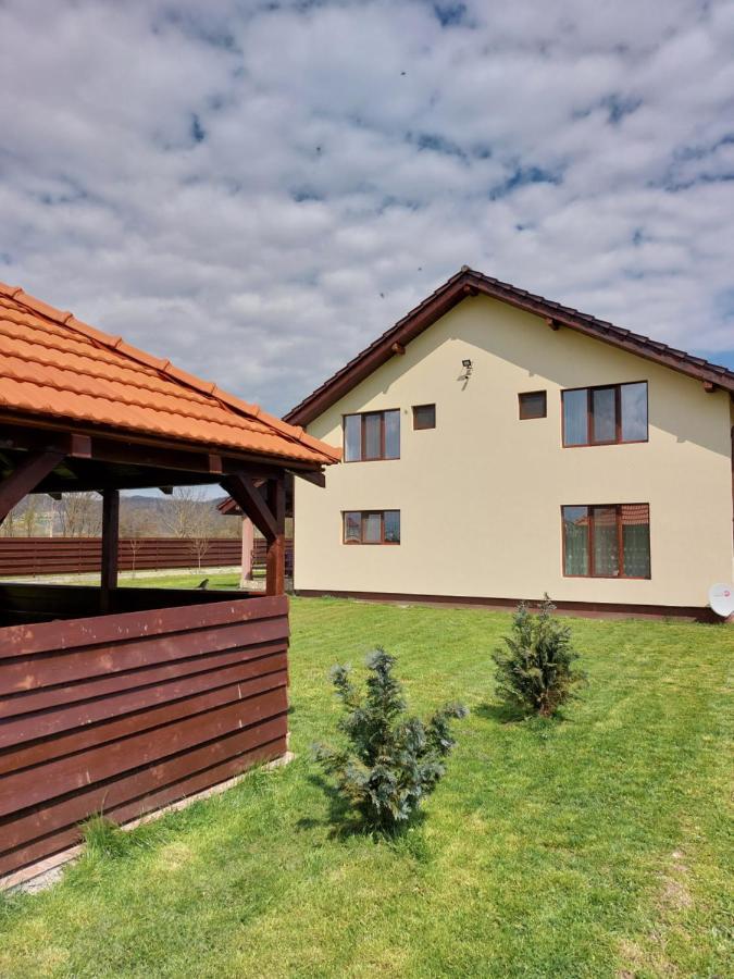 Pensiunea Daria Hateg Exterior photo