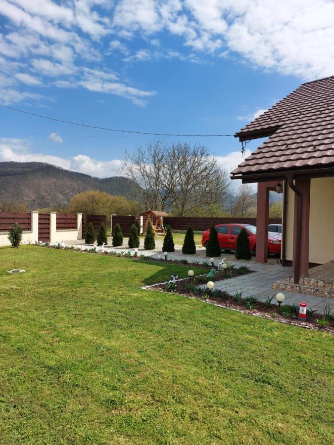 Pensiunea Daria Hateg Exterior photo